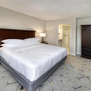 Guest Room 1 King